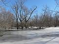 March 2, 2008 - Audubon's Ipswich River Wildlife Sancturary, Topsfield, Massachusetts.<br />Frozen Ipswich River.