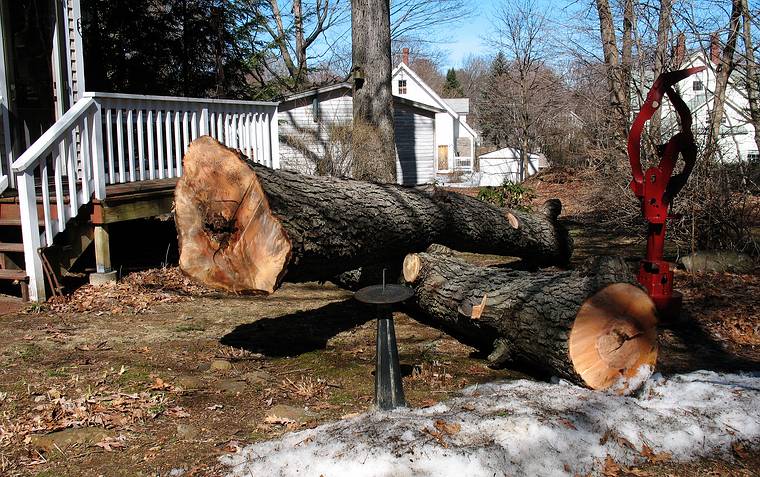 March 13, 2008 - Merrimac, Massachusetts.<br />Tree removal to make room for Joyce's studio.