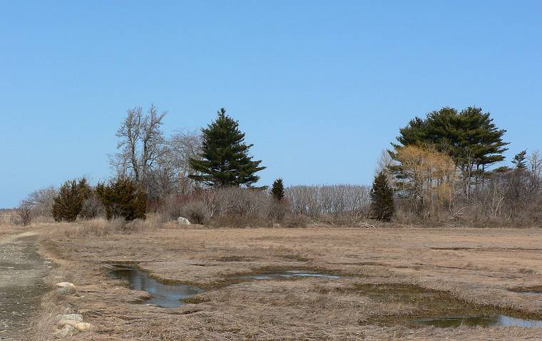 March 24, 2008 - Strawberry Hill, Ipswich, Massachusetts.<br />A new (since 2002) 105 acre park.<br />Barker Island?