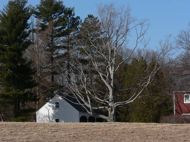 March 24, 2008 -  Jeffrey's Neck Road, Ipswich, Massachusetts.<br />Greenwood Farm (a Trustees of Reservations property).