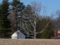 March 24, 2008 -  Jeffrey's Neck Road, Ipswich, Massachusetts.<br />Greenwood Farm (a Trustees of Reservations property).