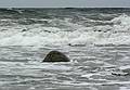 April 7, 2008 - Sandy Point State Reservation, Plum Island, Massachusetts.<br />My favorite rock at high tide.