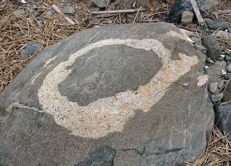 April 7, 2008 - Sandy Point State Reservation, Plum Island, Massachusetts.