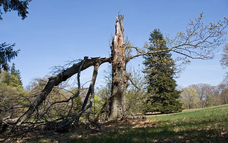 May 7, 2008 - Maudslay State Park, Newburyport, Massachusetts.