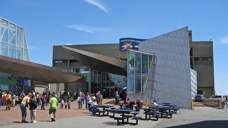 May 18, 2008 - New England Aquarium, Boston, Massachusetts.