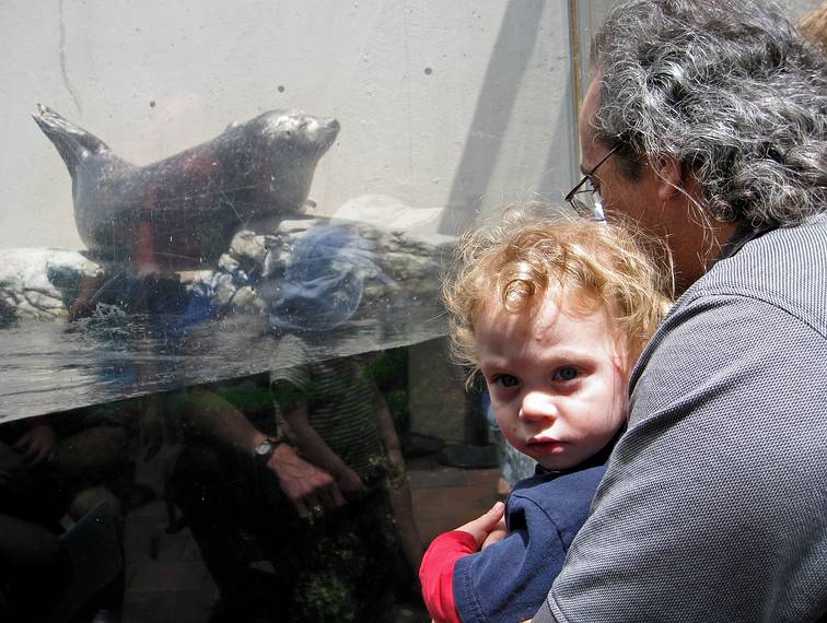 May 18, 2008 - New England Aquarium, Boston, Massachusetts.<br />Matthew and Carl looking at the seal although Matthew was distracted by the camera.