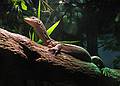 May 18, 2008 - New England Aquarium, Boston, Massachusetts.
