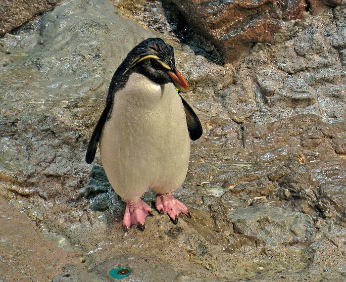 May 18, 2008 - New England Aquarium, Boston, Massachusetts.