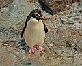 May 18, 2008 - New England Aquarium, Boston, Massachusetts.