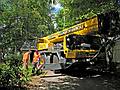 May 23, 2008 - Merrimac, Massachusetts.<br />Removal of tree behind the garage.<br />The crane is being manouvered in place and stabilized.