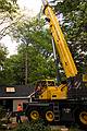 May 23, 2008 - Merrimac, Massachusetts.<br />The tree behind the garage being removed. Its base was starting to rot.