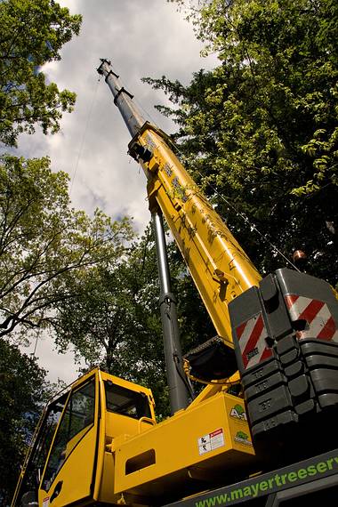 May 23, 2008 - Merrimac, Massachusetts.<br />The tree behind the garage being removed. Its base was starting to rot.