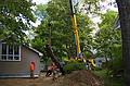 May 23, 2008 - Merrimac, Massachusetts.<br />The tree behind the garage being removed. Its base was starting to rot.