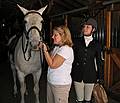 May 25, 2008 - Sons of the Wind Farm in Merrimac, Massachusetts.<br />Festival of the Lusitano.