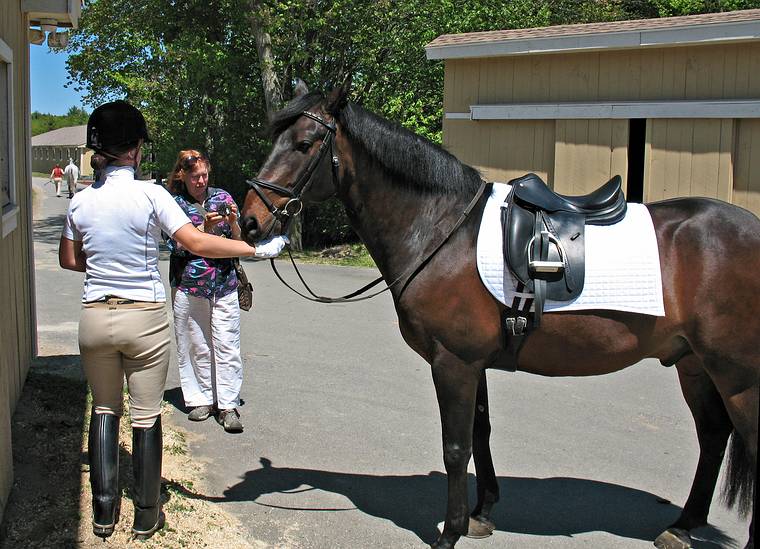 May 25, 2008 - Sons of the Wind Farm in Merrimac, Massachusetts.<br />Festival of the Lusitano.<br />Nancy with her new camera.