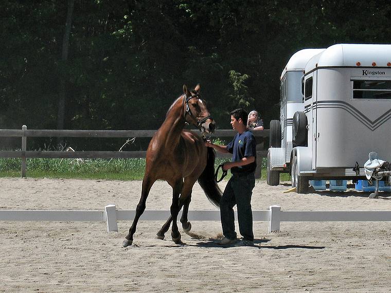 May 25, 2008 - Sons of the Wind Farm in Merrimac, Massachusetts.<br />Festival of the Lusitano.