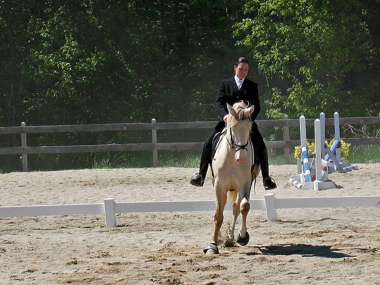 May 25, 2008 - Sons of the Wind Farm in Merrimac, Massachusetts.<br />Festival of the Lusitano.