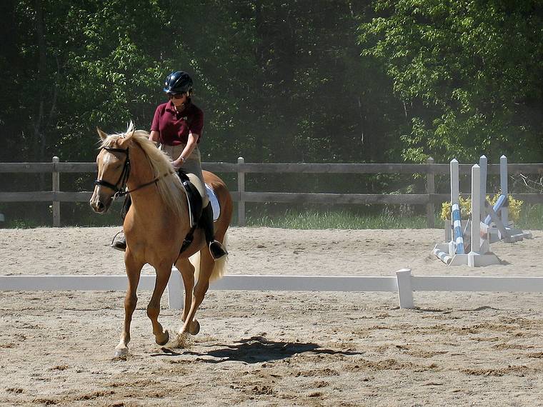 May 25, 2008 - Sons of the Wind Farm in Merrimac, Massachusetts.<br />Festival of the Lusitano.