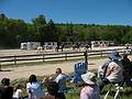 May 25, 2008 - Sons of the Wind Farm in Merrimac, Massachusetts.<br />Festival of the Lusitano.