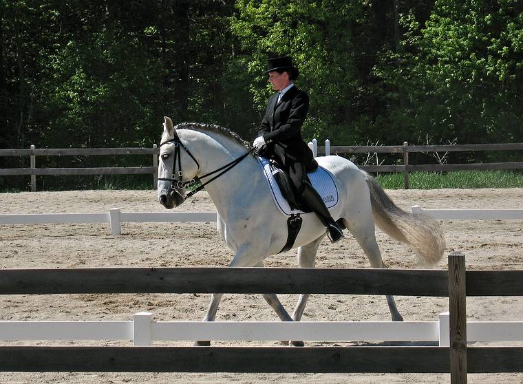 May 25, 2008 - Sons of the Wind Farm in Merrimac, Massachusetts.<br />Festival of the Lusitano.