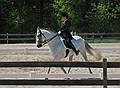 May 25, 2008 - Sons of the Wind Farm in Merrimac, Massachusetts.<br />Festival of the Lusitano.