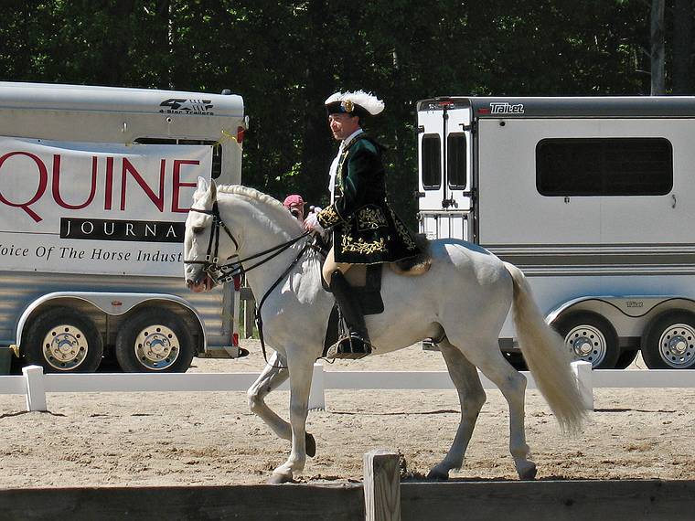 May 25, 2008 - Sons of the Wind Farm in Merrimac, Massachusetts.<br />Festival of the Lusitano.