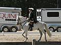 May 25, 2008 - Sons of the Wind Farm in Merrimac, Massachusetts.<br />Festival of the Lusitano.