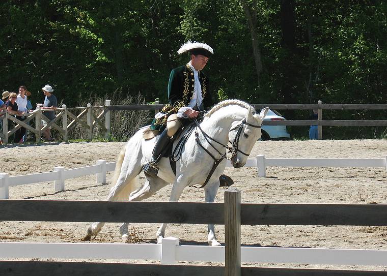 May 25, 2008 - Sons of the Wind Farm in Merrimac, Massachusetts.<br />Festival of the Lusitano.