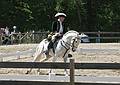 May 25, 2008 - Sons of the Wind Farm in Merrimac, Massachusetts.<br />Festival of the Lusitano.