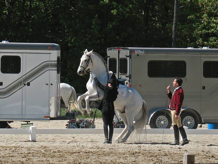 May 25, 2008 - Sons of the Wind Farm in Merrimac, Massachusetts.<br />Festival of the Lusitano.