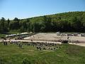 May 25, 2008 - Sons of the Wind Farm in Merrimac, Massachusetts.<br />Festival of the Lusitano.