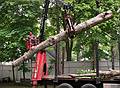 May 27, 2008 - Merrimac, Massachusetts.<br />The recently cut tree trunk is being carted away.