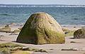June 14, 2008 - Sandy Point State Reservation, Plum Island, Massachusetts.<br />Most of the sand around the rock has returned.