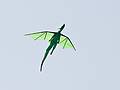 June 14, 2008 - Sandy Point State Reservation, Plum Island, Massachusetts.<br />Strange creatures ply the skies.
