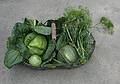 July 17, 2008 - Lawrence, Massachusetts.<br />Paul's vegetables.