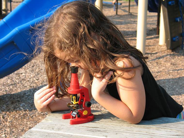 July 26, 2008 - Odiorne State Park, Rye, New Hampshire.<br />Miranda studying something under the microscope of a new friend.