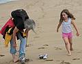 August 3, 2008 - North end of Plum Island, Massachusetts.<br />Joyce getting ready to wade in the water while Miranda runs circles around her.
