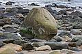 August 12, 2008 - Sandy Point State Reservation, Plum Island, Massachusetts.<br />The rock exposed more than ever (that I have seen it).<br />But the sand further ashore covered all the rocks.