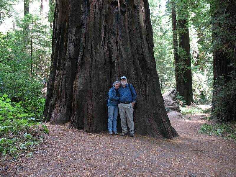 August 30, 2008 - Humboldt Redwoods State Park, California.<br />Joyce and Egils along the Avenue of the Giants.