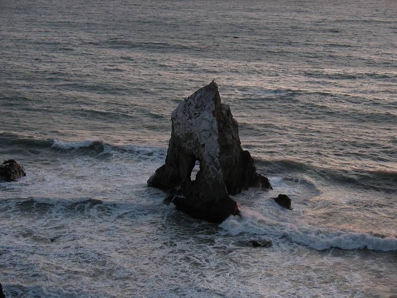 August 30, 2008 - Along California Highway 1 north of Fort Bragg.