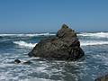 August 31, 2008 - Fort Bragg, California.<br />Off Laguna Point at MacKerricher State Park.