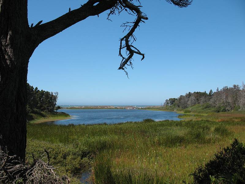 August 31, 2008 - Fort Bragg, California.<br />Lake Cleone in MacKerricher State Park.