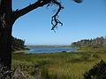August 31, 2008 - Fort Bragg, California.<br />Lake Cleone in MacKerricher State Park.