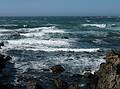 August 31, 2008 - Mendocino Coast Botanical Garden, Fort Bragg, California.<br />View from the headlands of the garden.