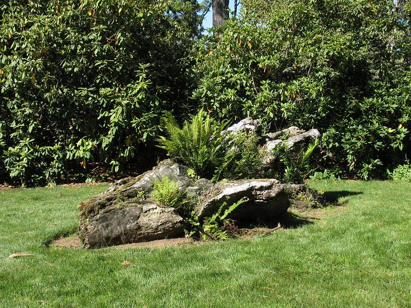 August 31, 2008 - Mendocino Coast Botanical Garden, Fort Bragg, California.