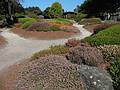 August 31, 2008 - Mendocino Coast Botanical Garden, Fort Bragg, California.<br />Heather.