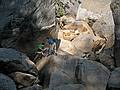 Sept. 3, 2008 - Yosemite National Park, California.<br />Gujn and Eric below (and upstream) of the Vernal Falls bridge.