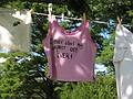 Sept 15, 2008 - Maudslay State Park, Newburyport, Massachusetts.<br />Outdoor Sculpture show.<br />Green Artists' League: "Air Your Dirty Laundry!".