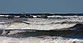 Sept. 22, 2008 - Sandy Point State Reservation, Plum Island, Massachusetts.