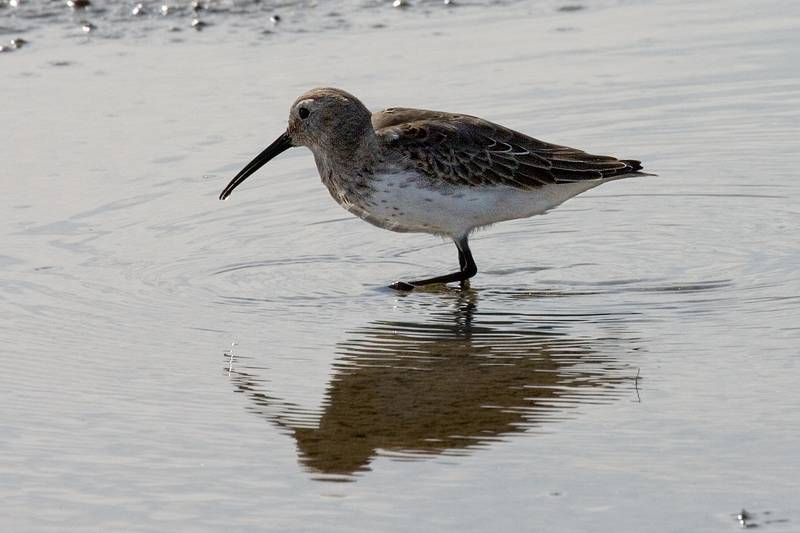 Sept. 22, 2008 - Sandy Point State Reservation, Plum Island, Massachusetts.